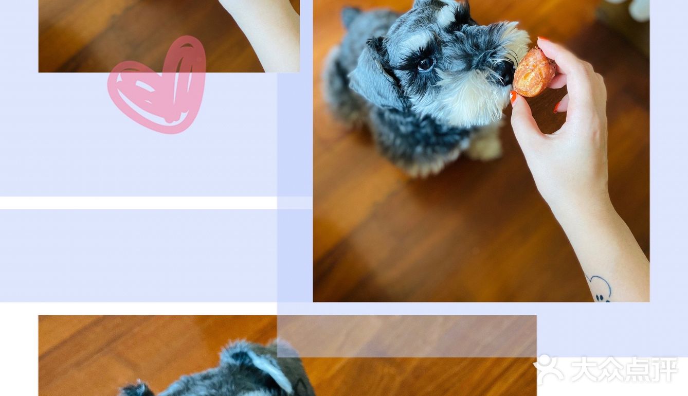 新年小零嘴之迷你糖糕诞生了