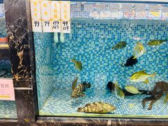 -金塘胜宴(石湾店)