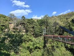 -西双版纳原始森林公园