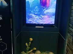 -万达影城(锦华万达广场IMAX店)