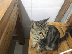 -木萨火锅店(开鲁路店)