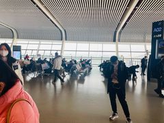 -合肥新桥国际机场-航站楼