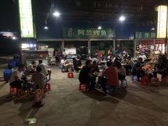 -杨合林啊兰烤鱼