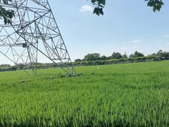 -嘉北郊野公园