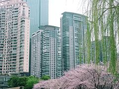 -西北湖绿化广场