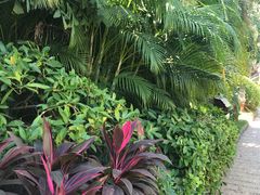 -厦门日月谷温泉渡假村