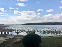 -丁香湖公园