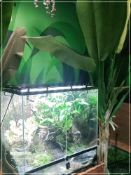 -酷嗒动物文化乐园(cutezoo西溪乐天城店)