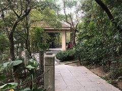 -小南山公园