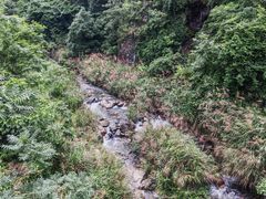 -湖南四明山国家森林公园