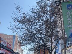 -嘉华鲜花饼·现烤(昆明老街店)