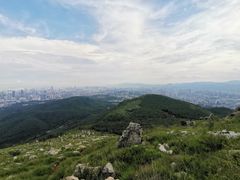 -长虫山生态公园风景林
