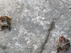 -无锡动物园·太湖欢乐园