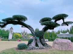 -东平国家森林公园