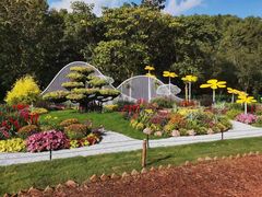 -上海共青森林公园