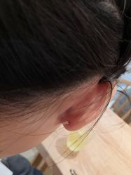 -花师傅