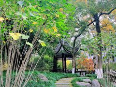 -墨池公园