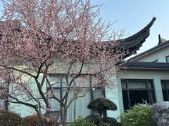 -浙江西子宾馆·牡丹厅