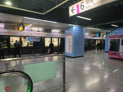 -大龙山(地铁站)