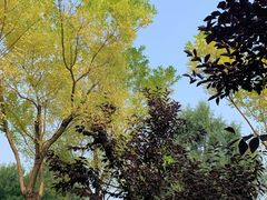 -北坞公园