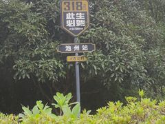 -杏花村文化旅游区