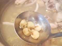 -润园四季椰子鸡火锅(南山海岸城店)