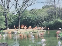-上海野生动物园