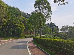 -火炉山森林公园