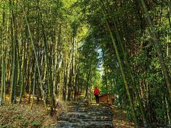 -广州市石门国家森林公园