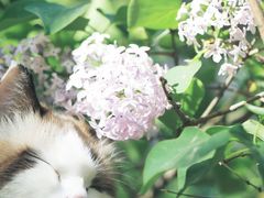 -东北人粗粮饺子坊(南山店)