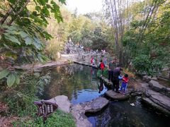 -大屏嶂森林公园