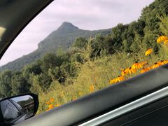 -帽儿山风景区