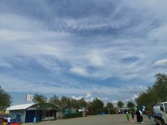 -呼兰河口湿地公园