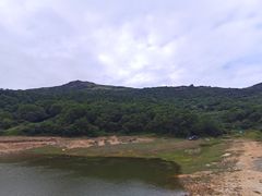 -大姆山草场
