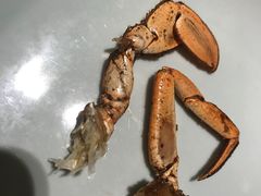 -七欣天香辣蟹火锅(南京建宁路大观天地店)