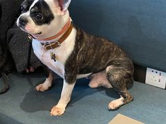 -Seesaw Coffee(苏州中心店)