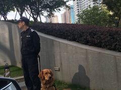 -上海中心大厦·地下停车库