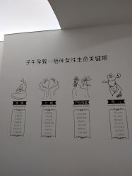 -子午孕教·孕妇瑜伽产后恢复(市北店)