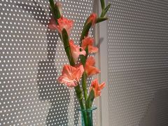-潮堂 · 潮州菜(人广来福士店)
