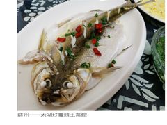 清蒸白鱼-太湖好灶头土菜馆(石公路店)