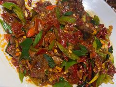 -柴窝堡22号辣子鸡·传承新疆菜