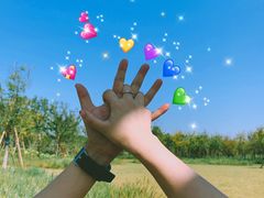 -春花秋色城市公园