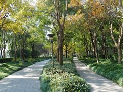 -南翔镇银翔湖公园