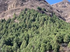 -狼牙山风景区