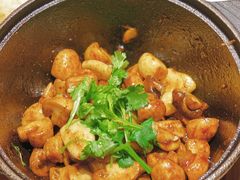 啫啫白蘑菇-铁公鸡·四川料理(天环广场店)
