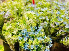 -循礼门鲜花花市(武汉循礼门店)