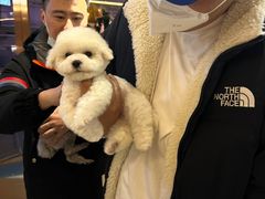 -FAELING PETS美天灵宠物(富力广场店)