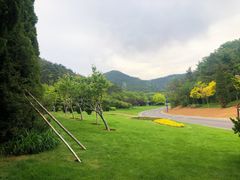 -棒棰岛宾馆景区