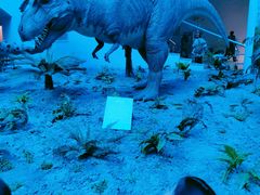-辽宁古生物博物馆