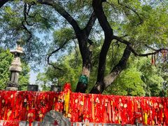 -大槐树寻根祭祖园